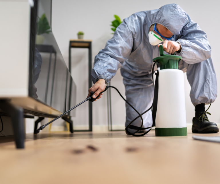 شركة رش حشرات