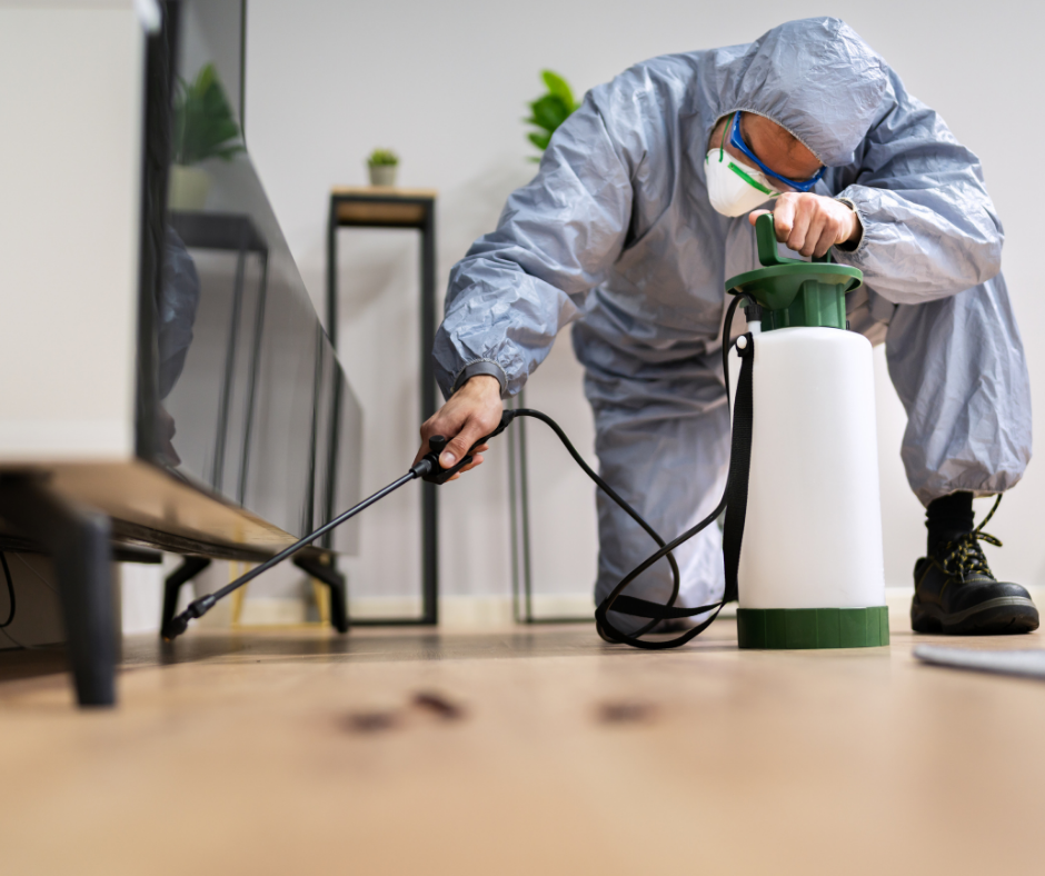 شركة رش حشرات